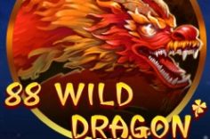 Oynamaq 88 Wild Dragon