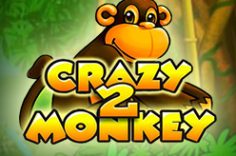 Oynamaq Crazy Monkey 2