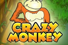 Oynamaq Crazy Monkey