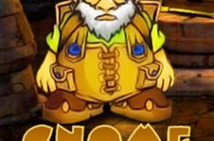 Oynamaq Gnome