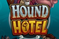 Oynamaq Hound Hotel