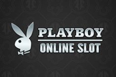 Oynamaq Playboy