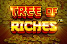 Oynamaq Tree of Riches