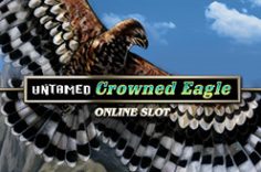 Oynamaq Untamed Crowned Eagle