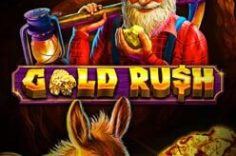 Oynamaq Gold Rush