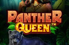 Oynamaq Panther Queen