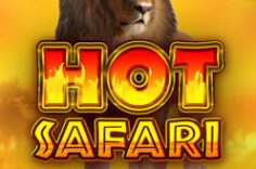 Oynamaq Hot Safari