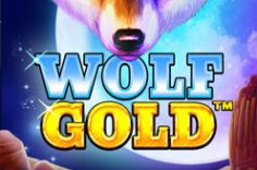 Oynamaq Wolf Gold